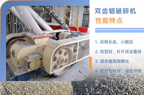 雙齒輥式破碎機(jī)圖片及型號(hào)參數(shù) 哪家比較好