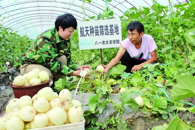 十三五開局之年 經(jīng)濟(jì)社會發(fā)展平穩(wěn)，農(nóng)業(yè)科研試驗(yàn)發(fā)展邁出新步伐